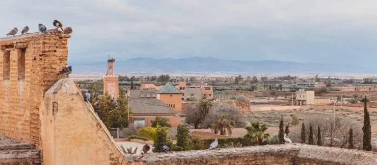 visiter la Zaouia de Tameslhot